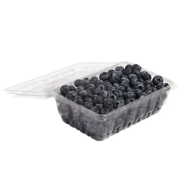 Blueberries, 18 oz. - Image 2