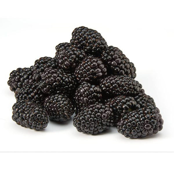 Fresh Field Packed Blackberries, 6 oz Container - Image 8